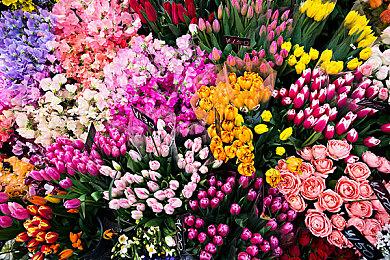 《艾尔登法环：黑夜君临》制作人表示本作仍属慢热 就像《恶魔之魂》和《只狼》