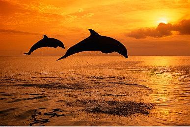 侦探游戏《墨影侠踪》试玩Demo上线 明年1月正式发售