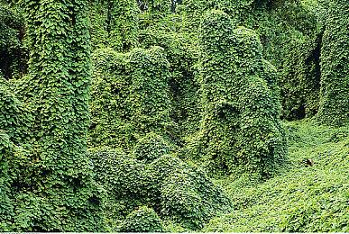 《堕落之主》将有超长入门体验 帮魂系新手避免挫败感